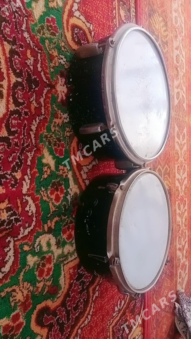 baraban - Sakarçäge - img 3