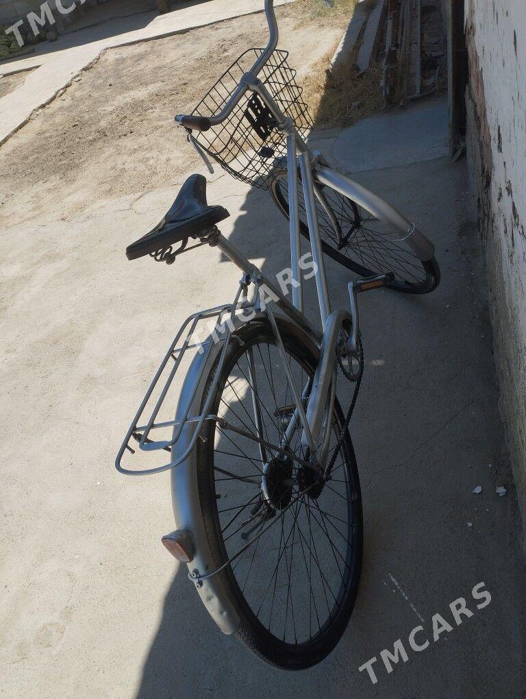 tigir - Bäherden - img 2