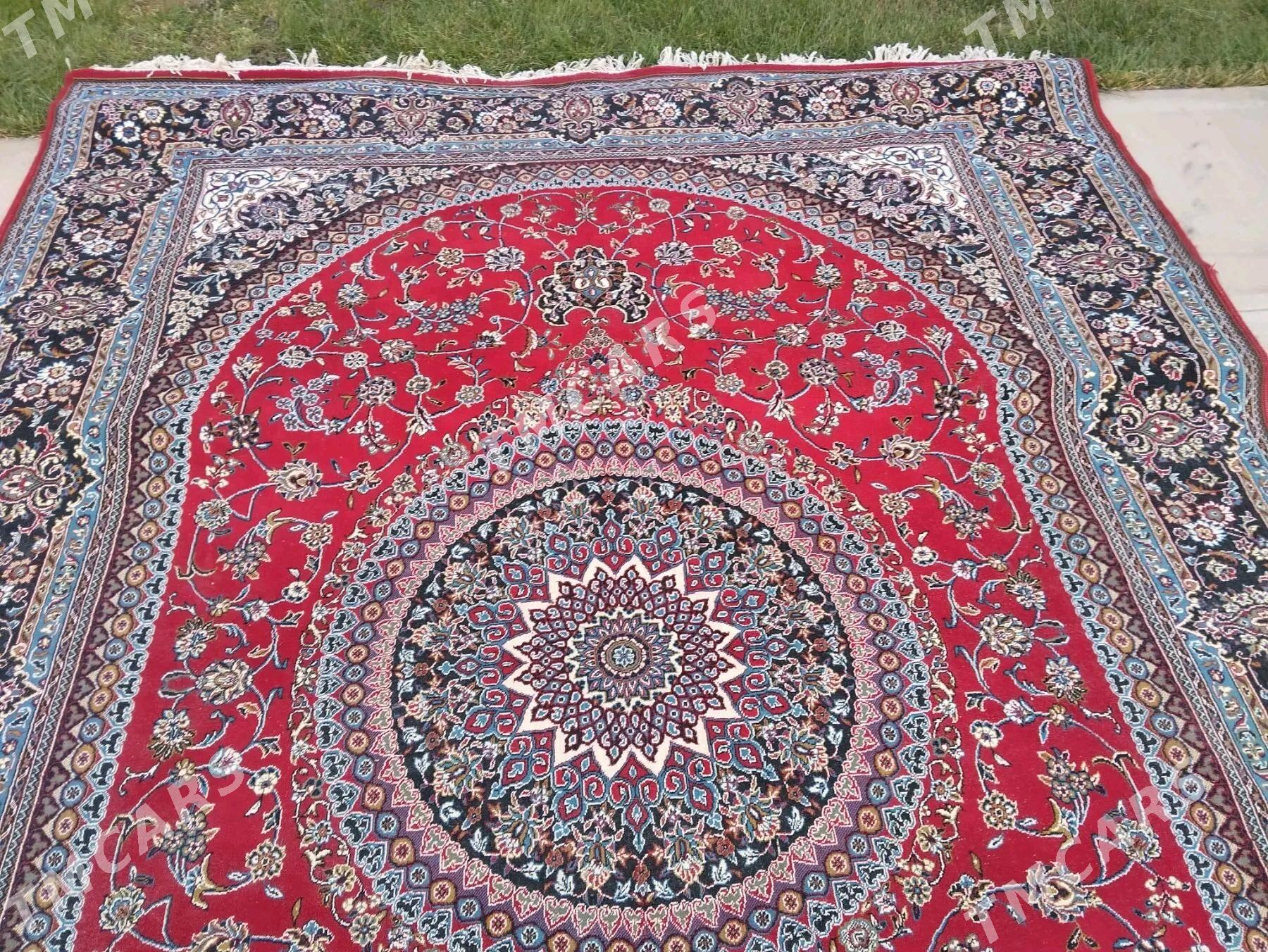haly - Türkmenbaşy - img 2