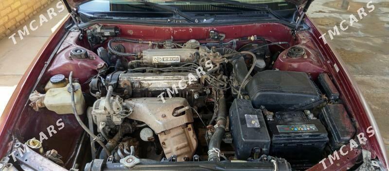 Toyota Camry 1995 - 66 000 TMT - Мургап - img 7