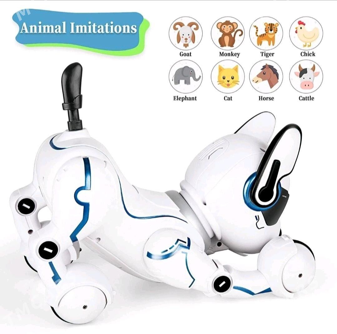 Arginal robot gujik - Кëши - img 2