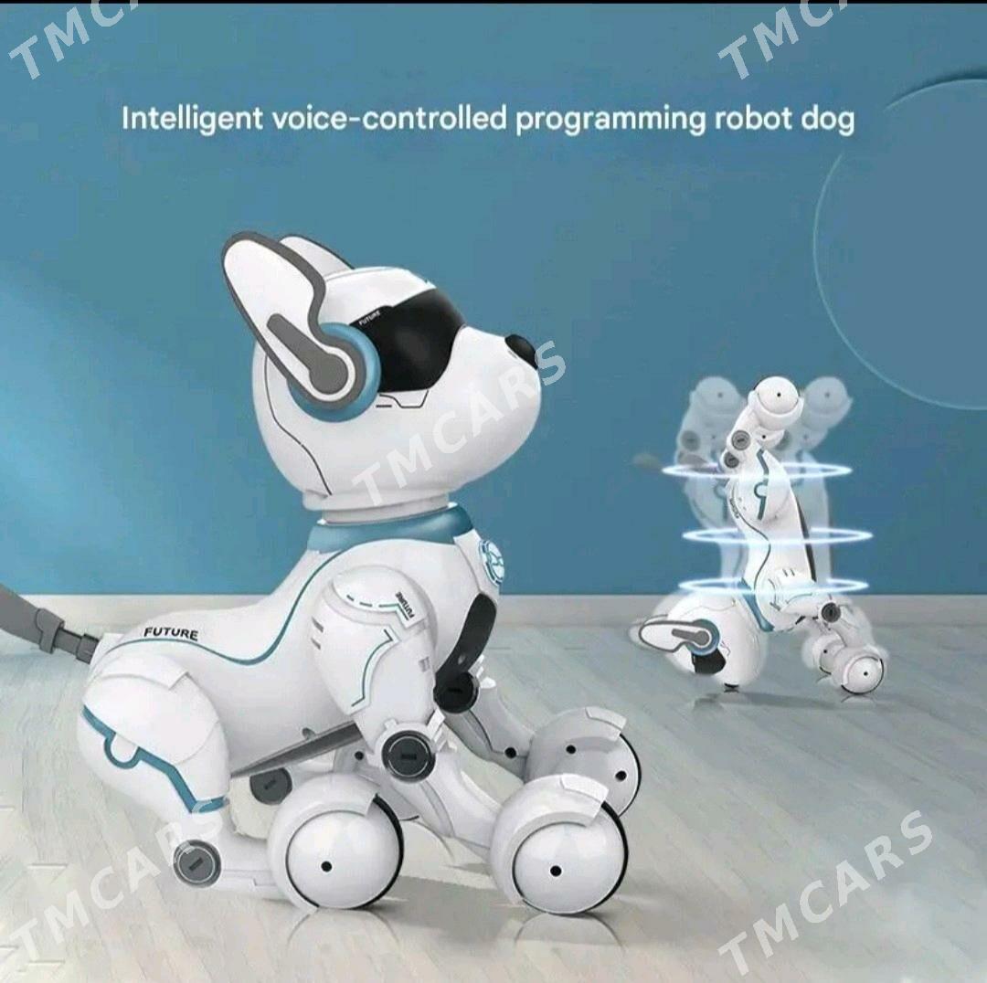 Arginal robot gujik - Кëши - img 4