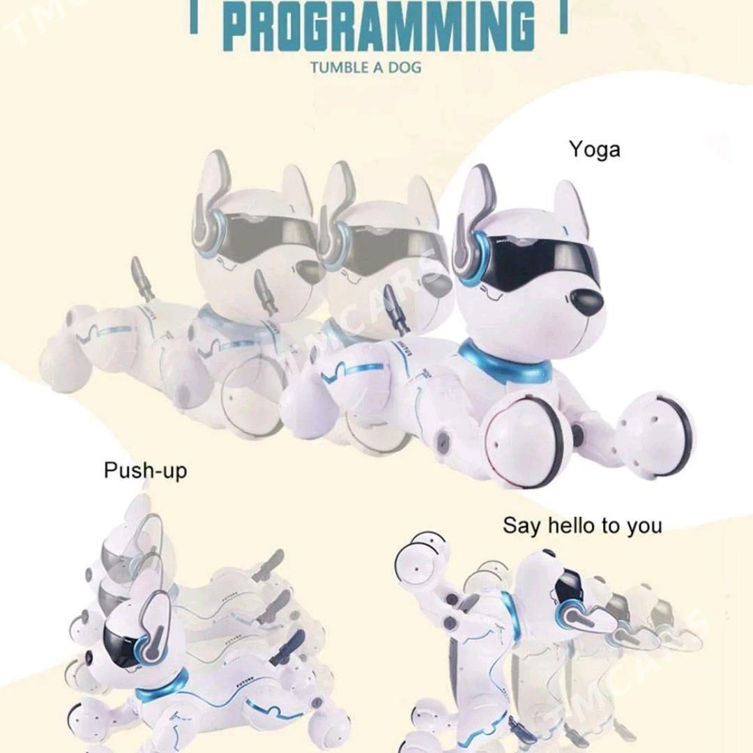 Arginal robot gujik - Кëши - img 5