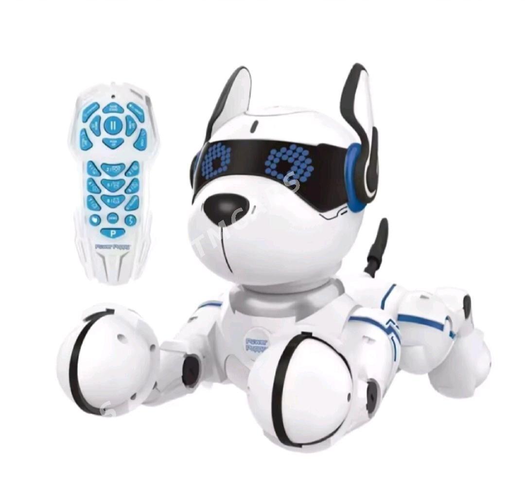 Arginal robot gujik - Кëши - img 9