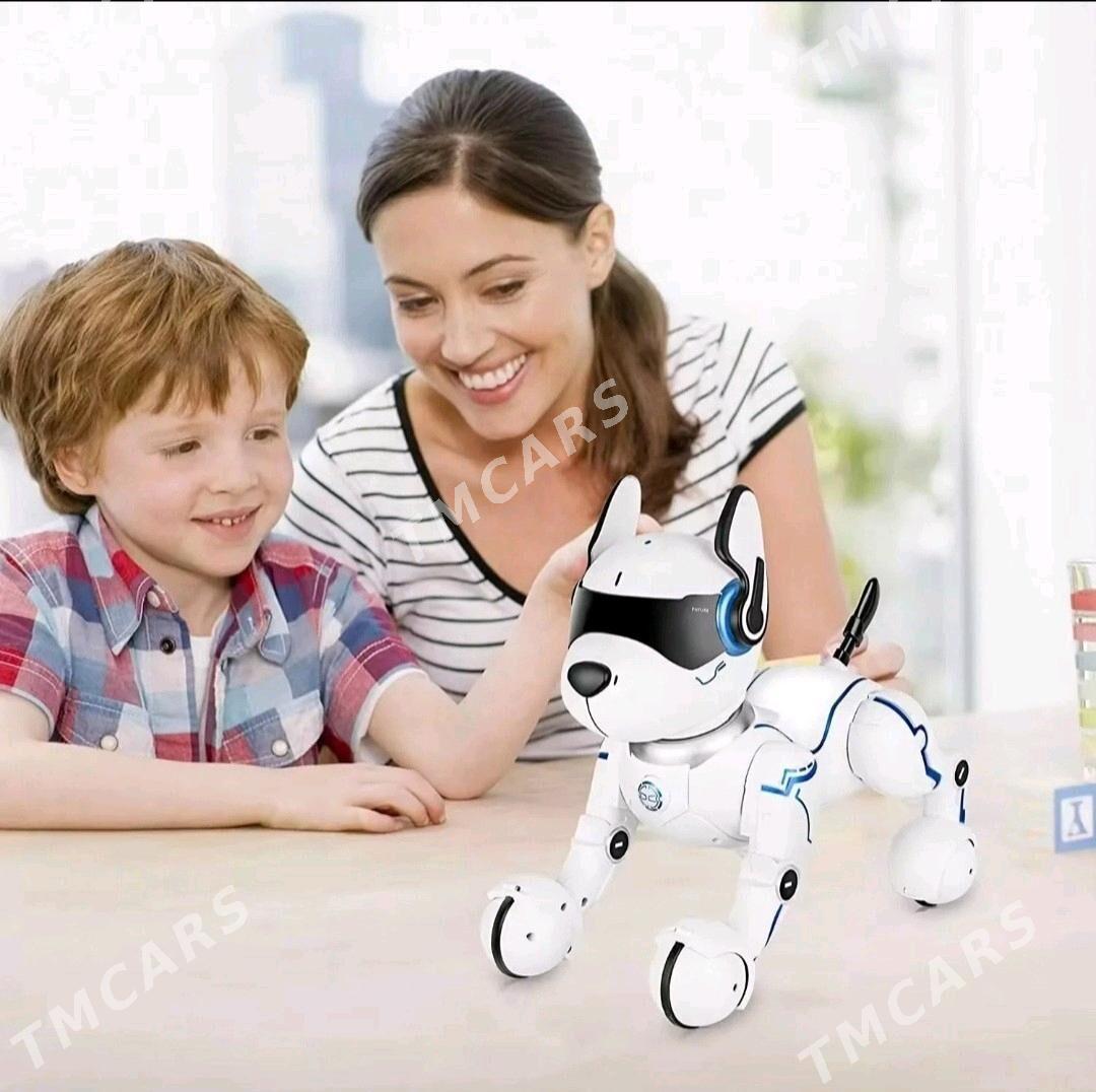 Arginal robot gujik - Кëши - img 8