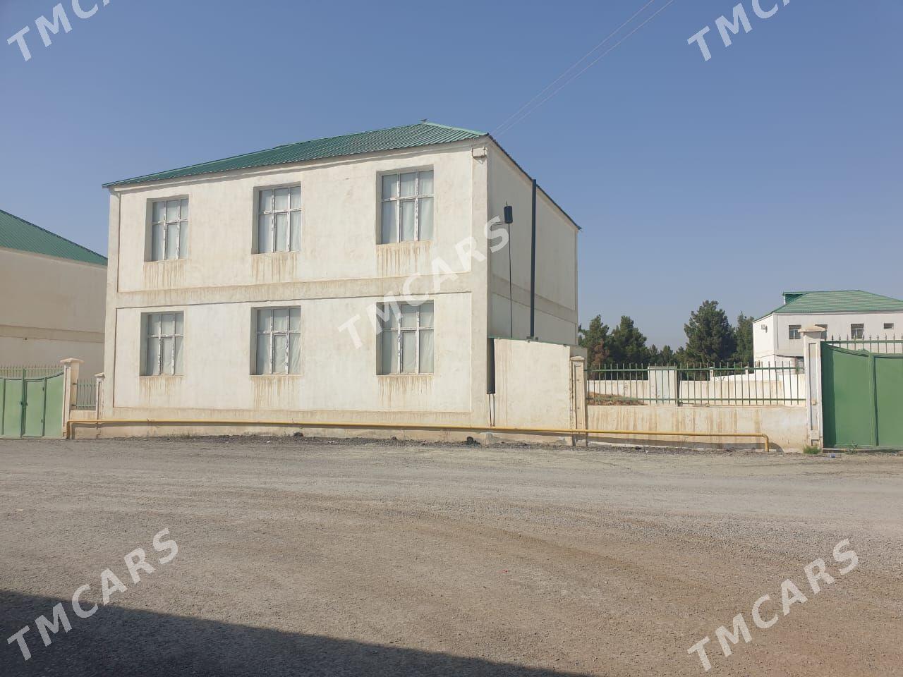 gokdepe kotej - Gökdepe - img 2