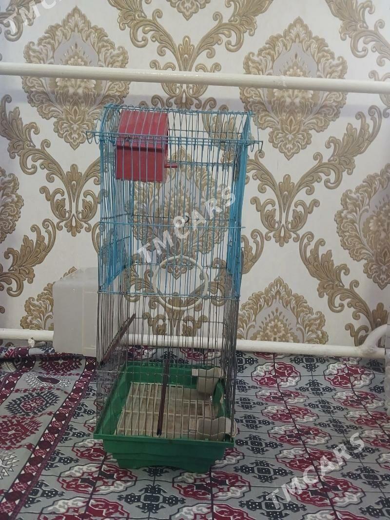 Guş sebet - Дашогуз - img 3