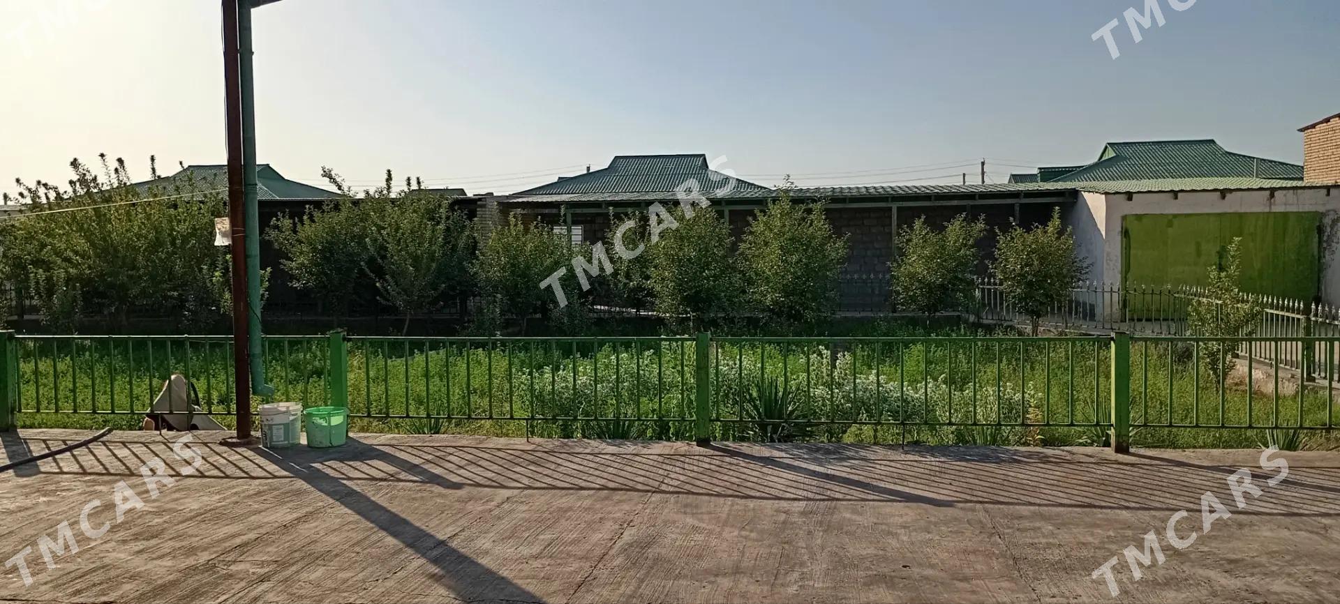 satlyk jay - Гарабекевюл - img 10