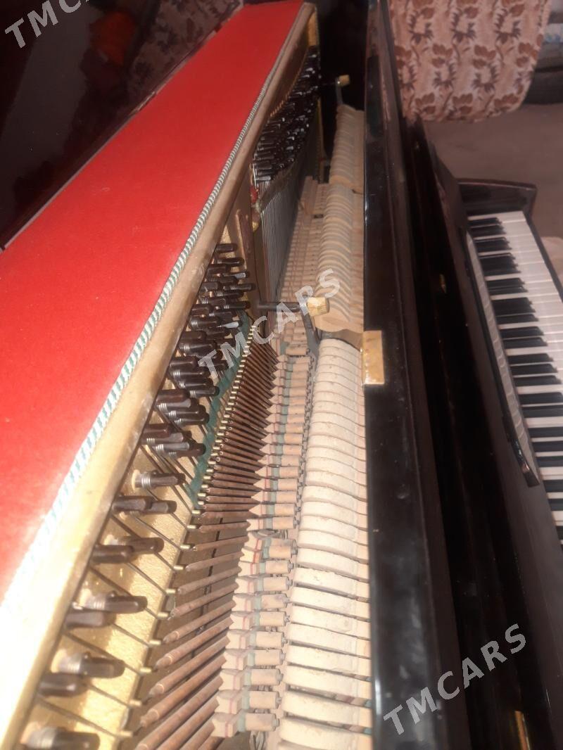 pianino пианина - Balkanabat - img 5