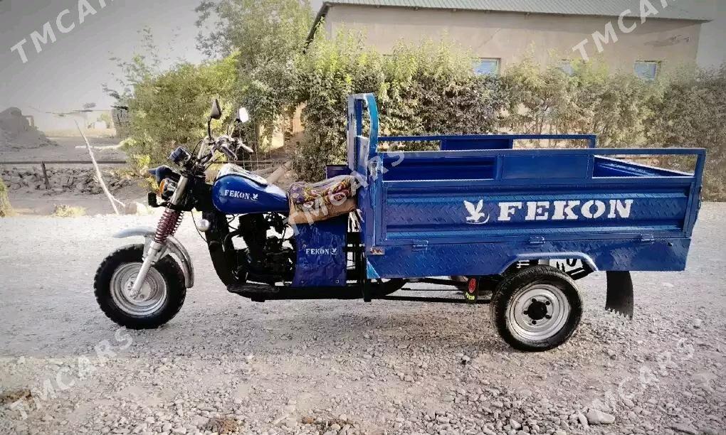 Fekon FK200-14G 2015 - 15 500 TMT - Tejen - img 4