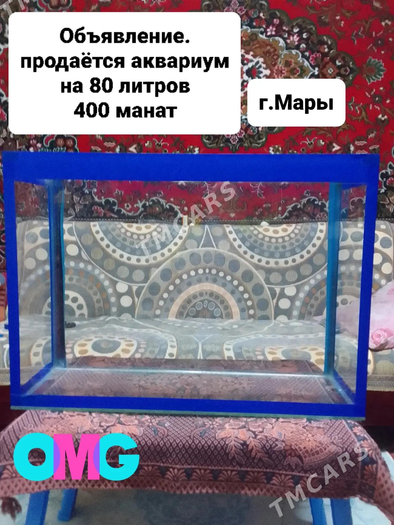 Аквариум - Мары - img 1