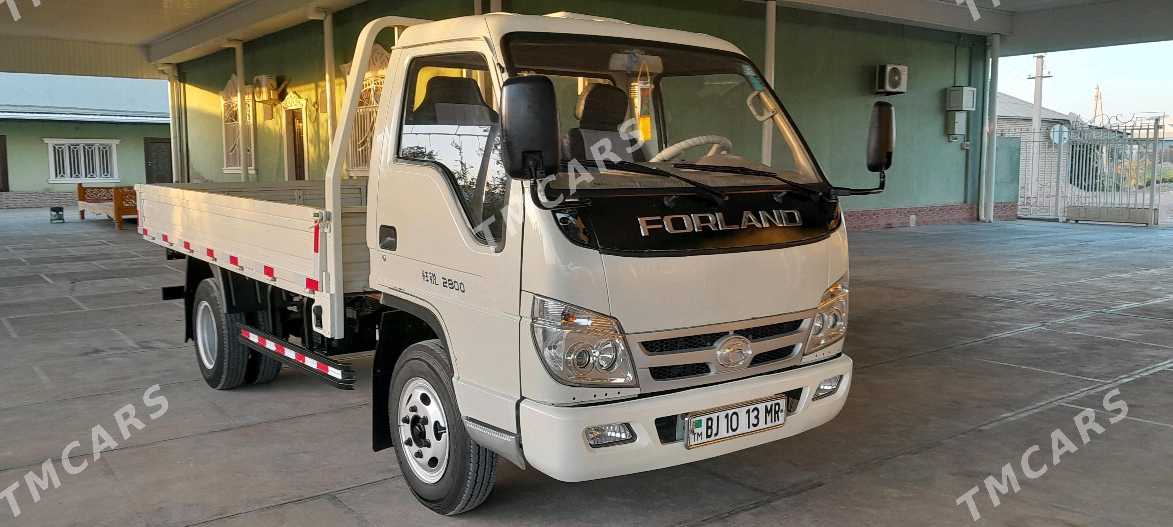 Forland H3 2012 - 98 000 TMT - Mary - img 2