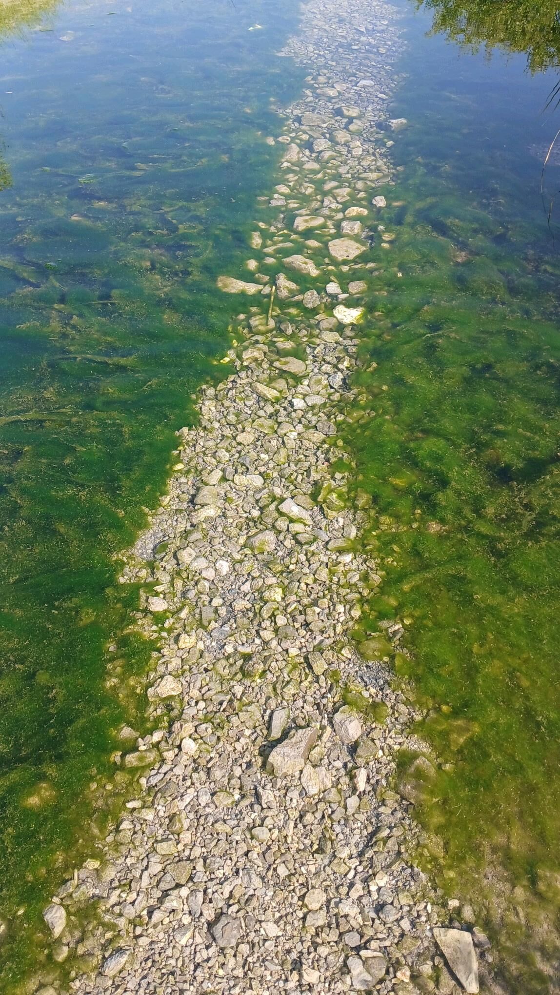 Ulag hyzmaty - Ашхабад - img 4