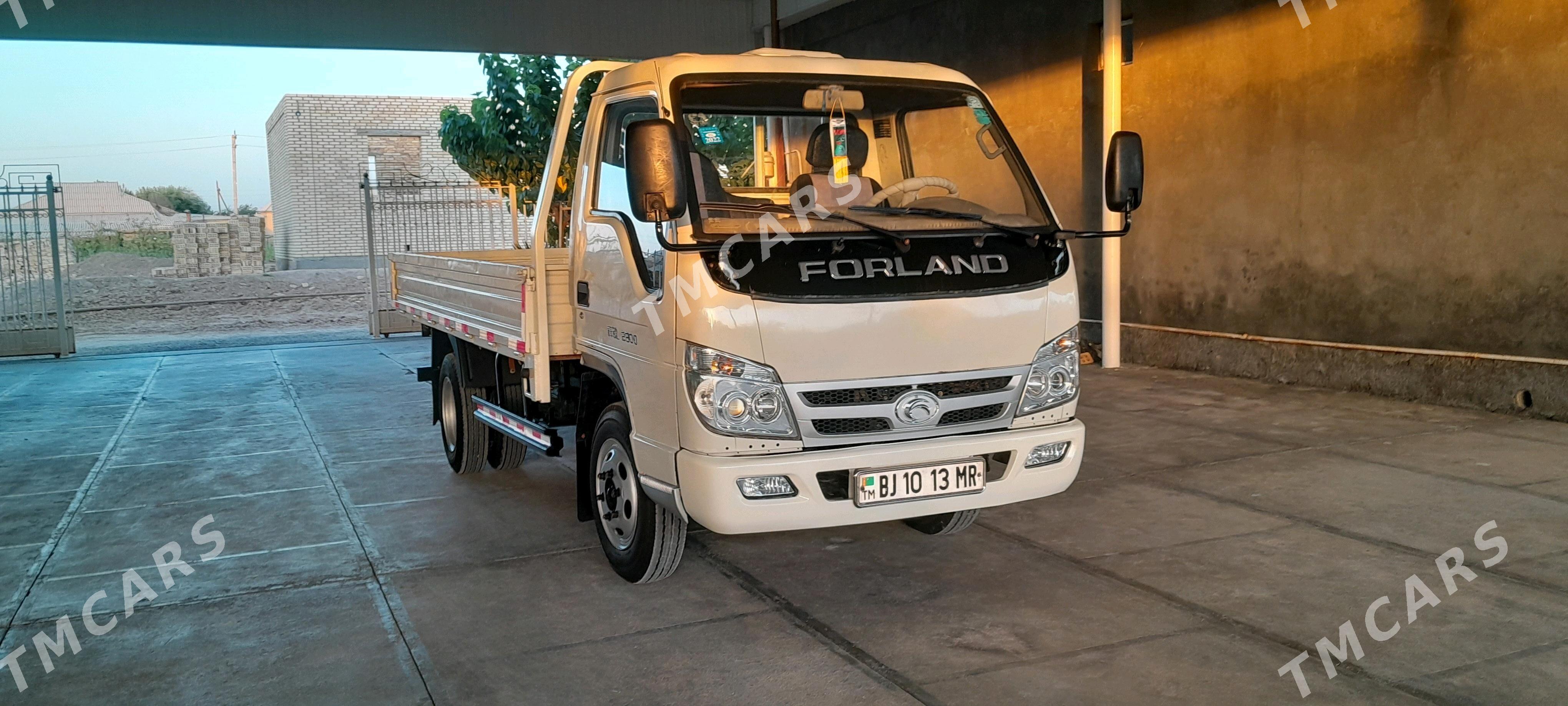 Forland H3 2012 - 98 000 TMT - Mary - img 9