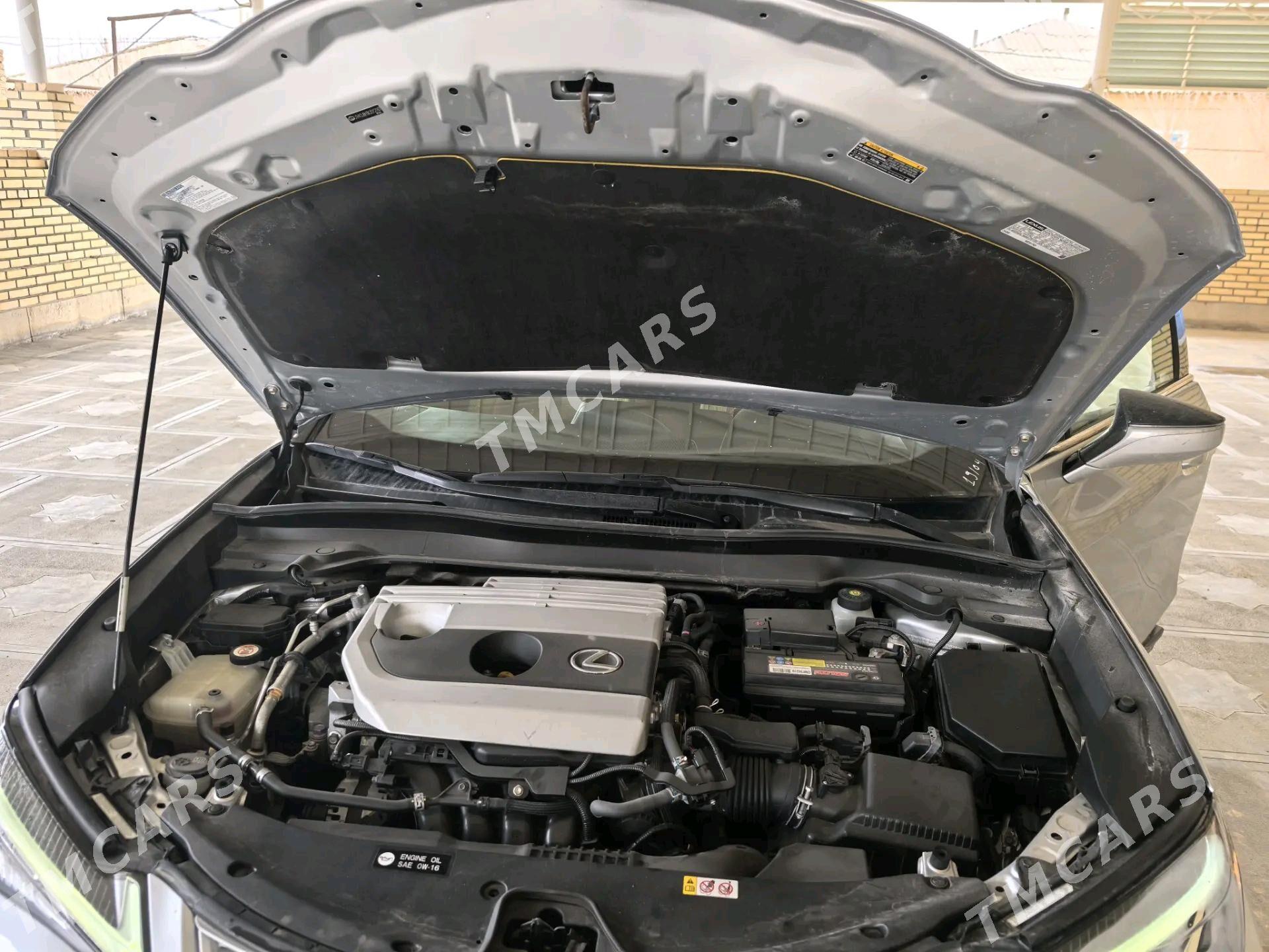 Lexus UX 200 2019 - 400 000 TMT - Mary - img 2