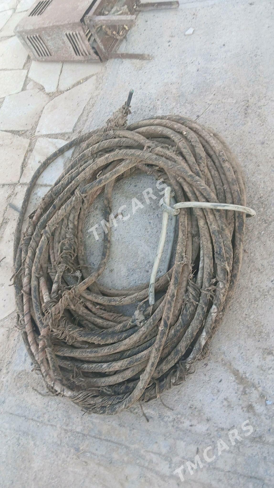 sarymly mis  kabel yere gomlya - Теджен - img 2