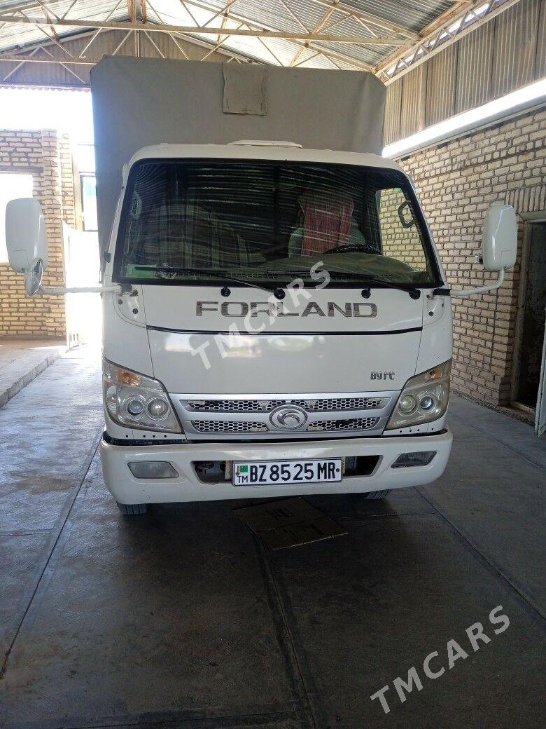 Forland H2 2014 - 170 000 TMT - Murgap - img 2