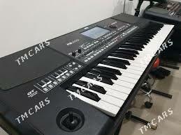 KORG PA^600 QT - Daşoguz - img 3