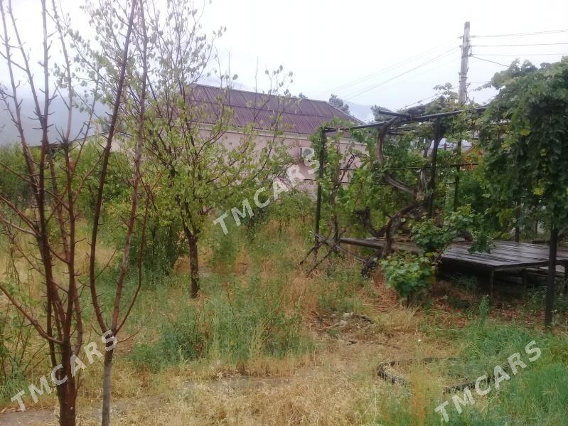 2 daca - Balkanabat - img 3