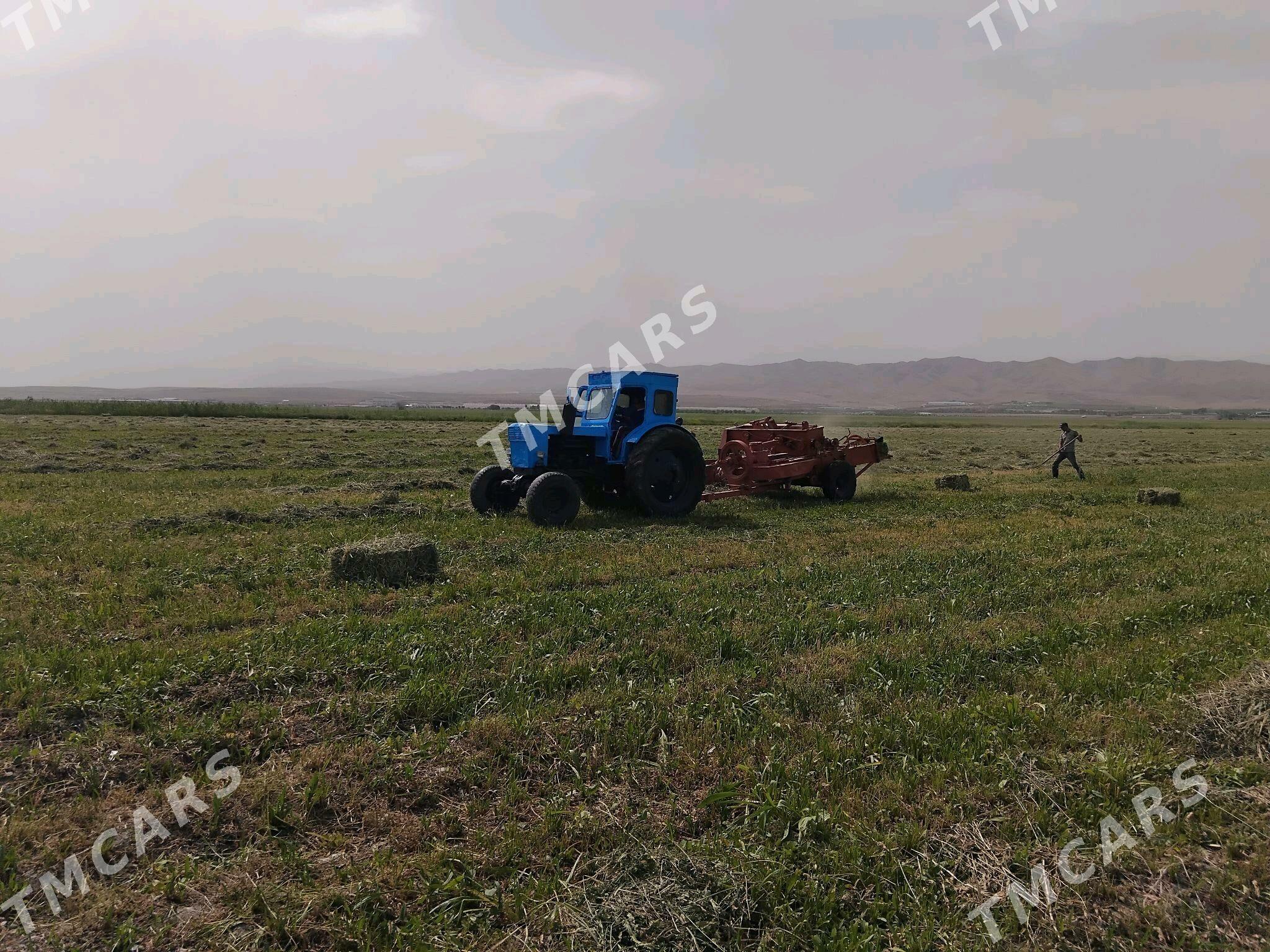 MTZ T-28 1990 - 80 000 TMT - Анев - img 4