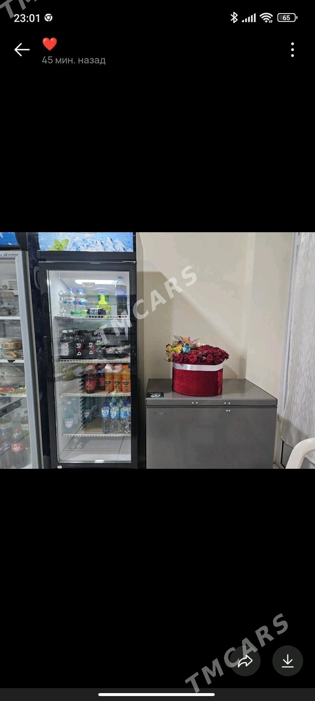 Haladilnik - Mary - img 1