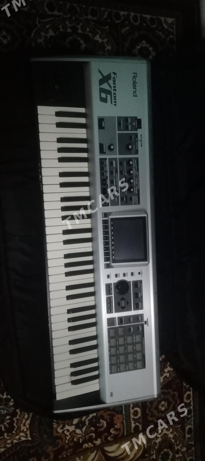 Fantom X6 - Bäherden - img 2