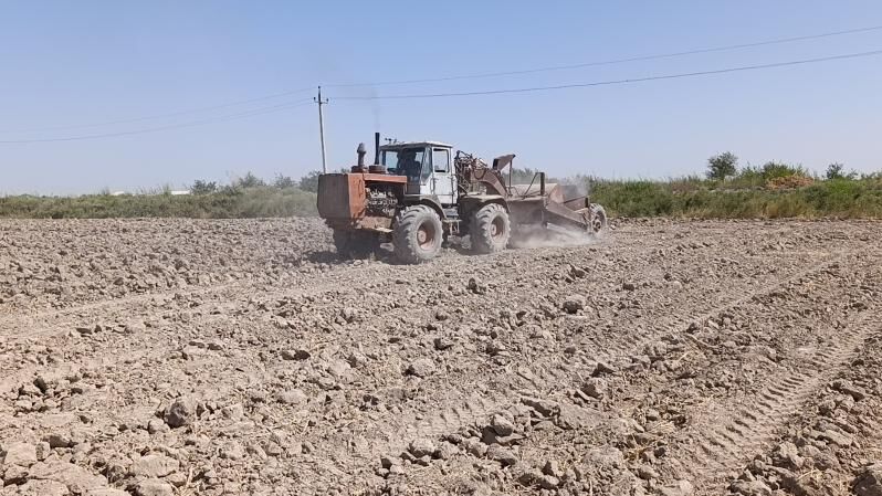 MTZ T-28 1985 - 80 000 TMT - Baýramaly - img 4