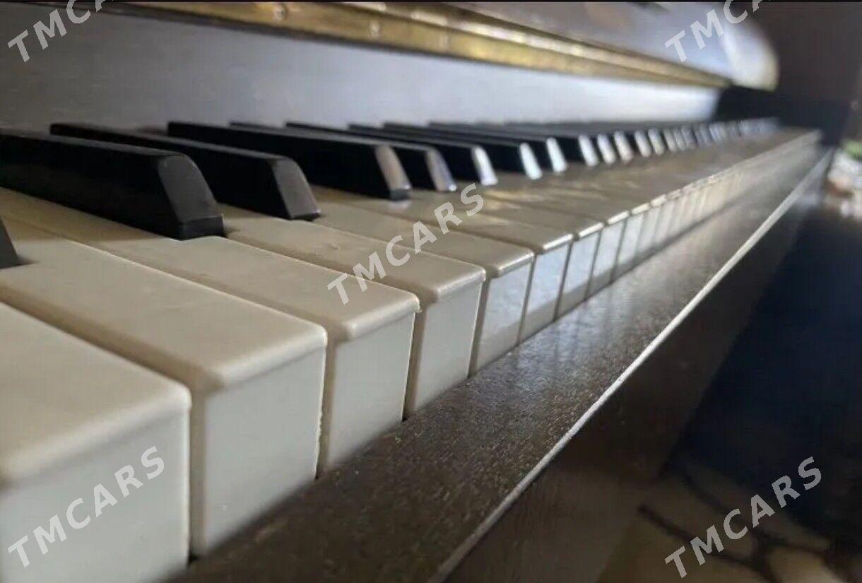 Pianino Rubinstein пианино - Ашхабад - img 1