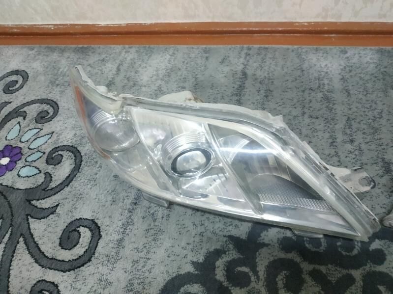 farlar öküz 600 TMT - Daşoguz - img 3