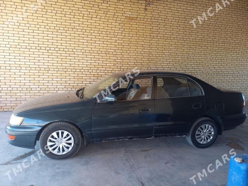 Toyota Corona 1995 - 50 000 TMT - Halaç - img 3