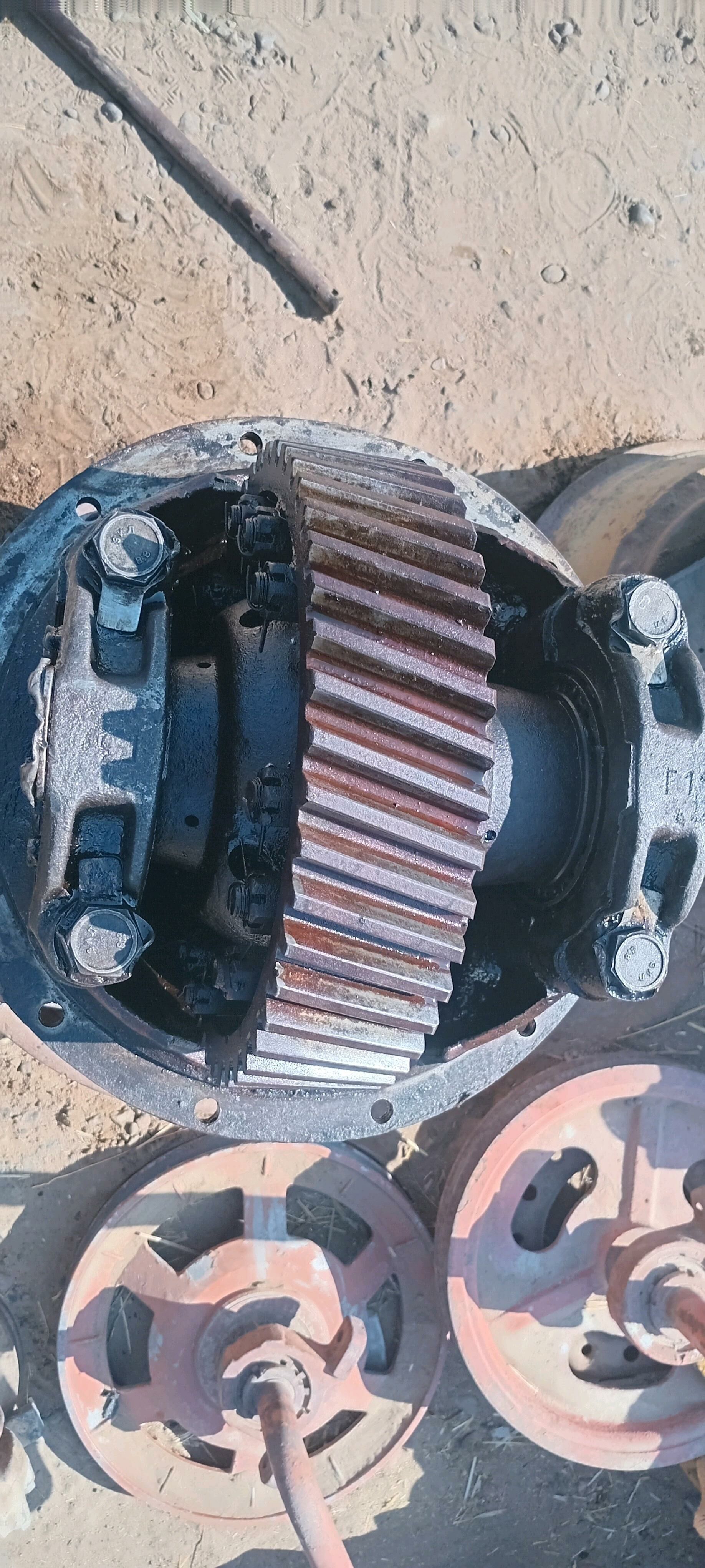 zil Mos kici 2 200 TMT - Теджен - img 2