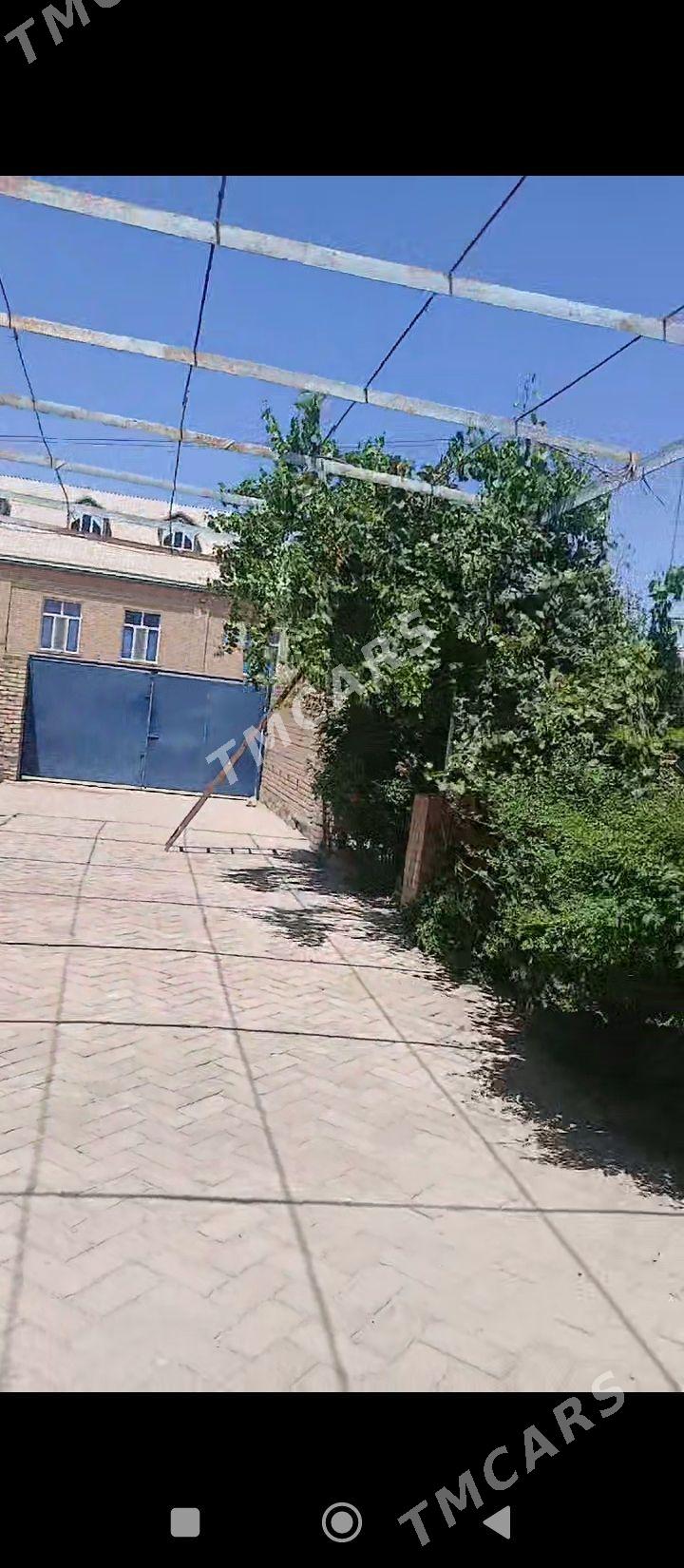 satlyk jaÿ - Kerki - img 1