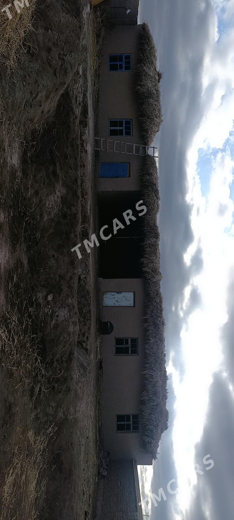 satlyk jay - Şabat etr. - img 5