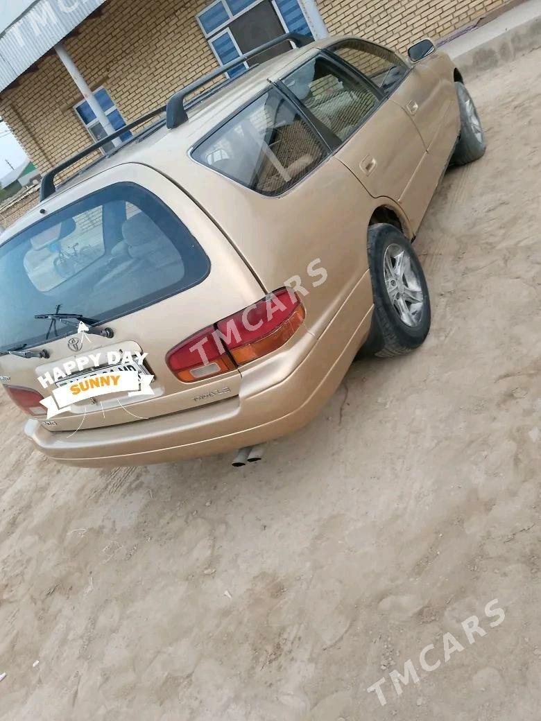 Toyota Camry 1995 - 70 000 TMT - Sakarçäge - img 2