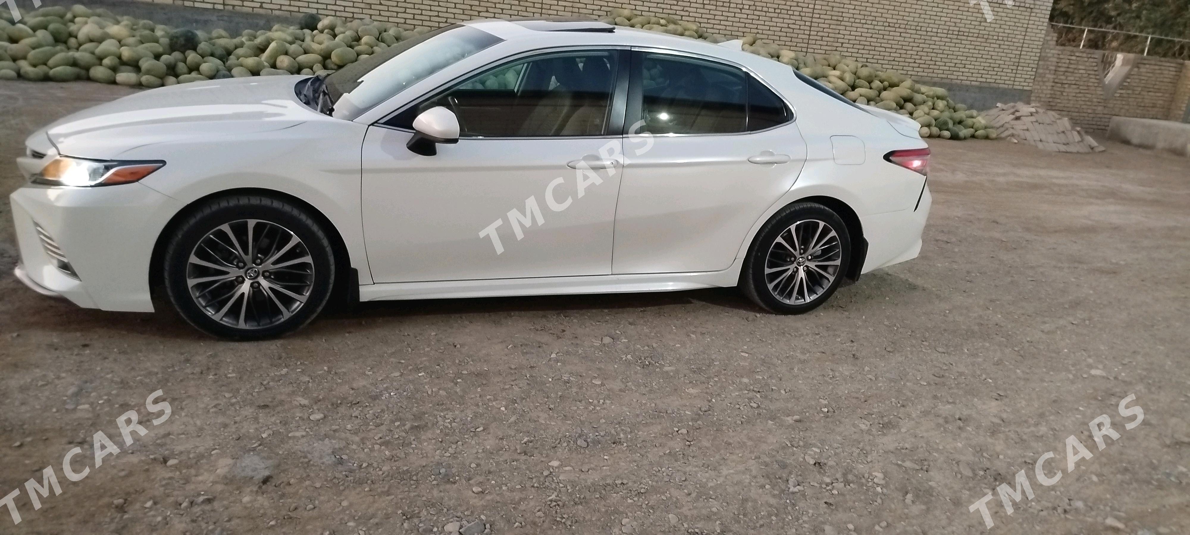 Toyota Camry 2019 - 310 000 TMT - Sakarçäge - img 6