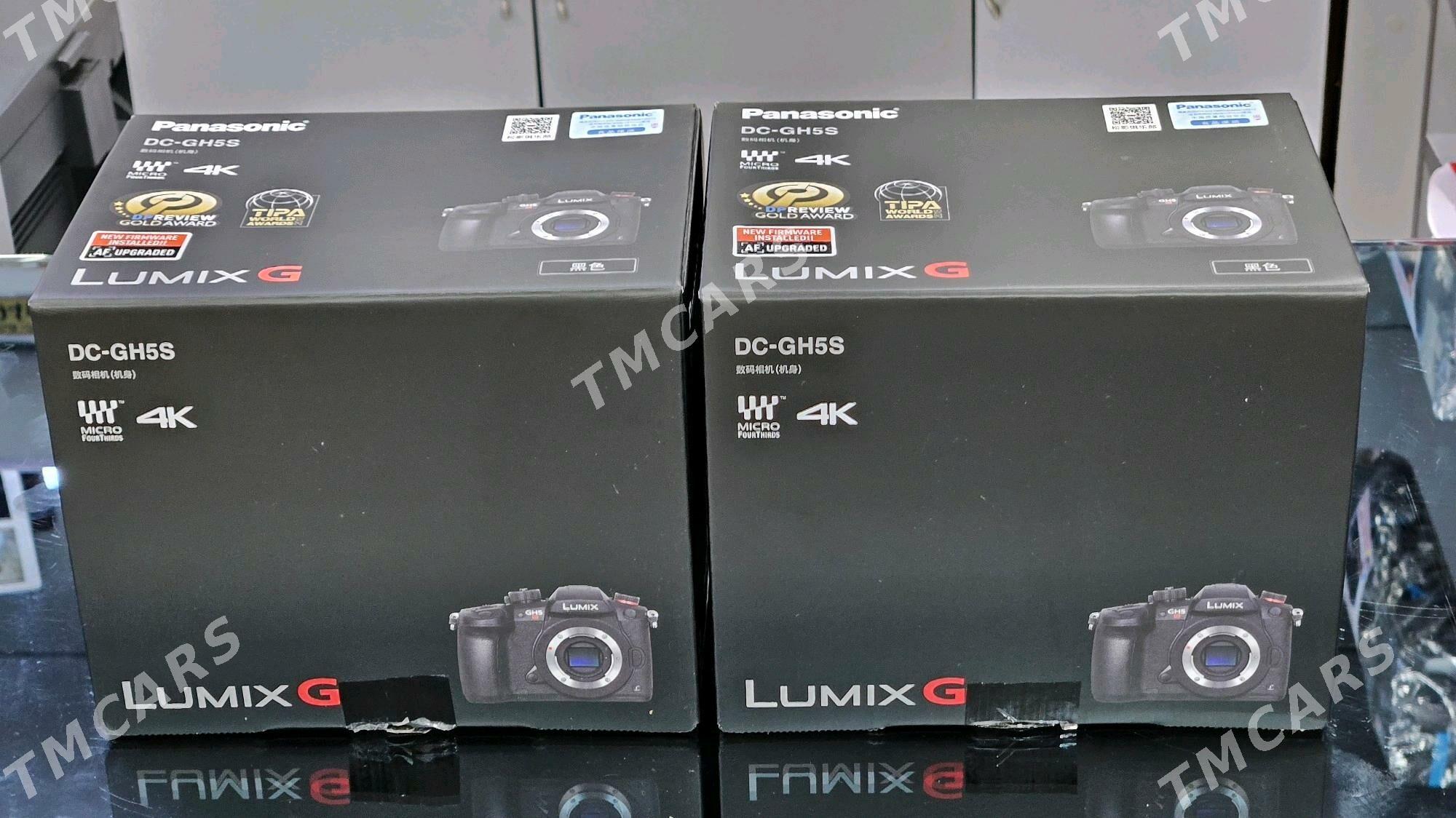 Lumix GH5S - Mary - img 2