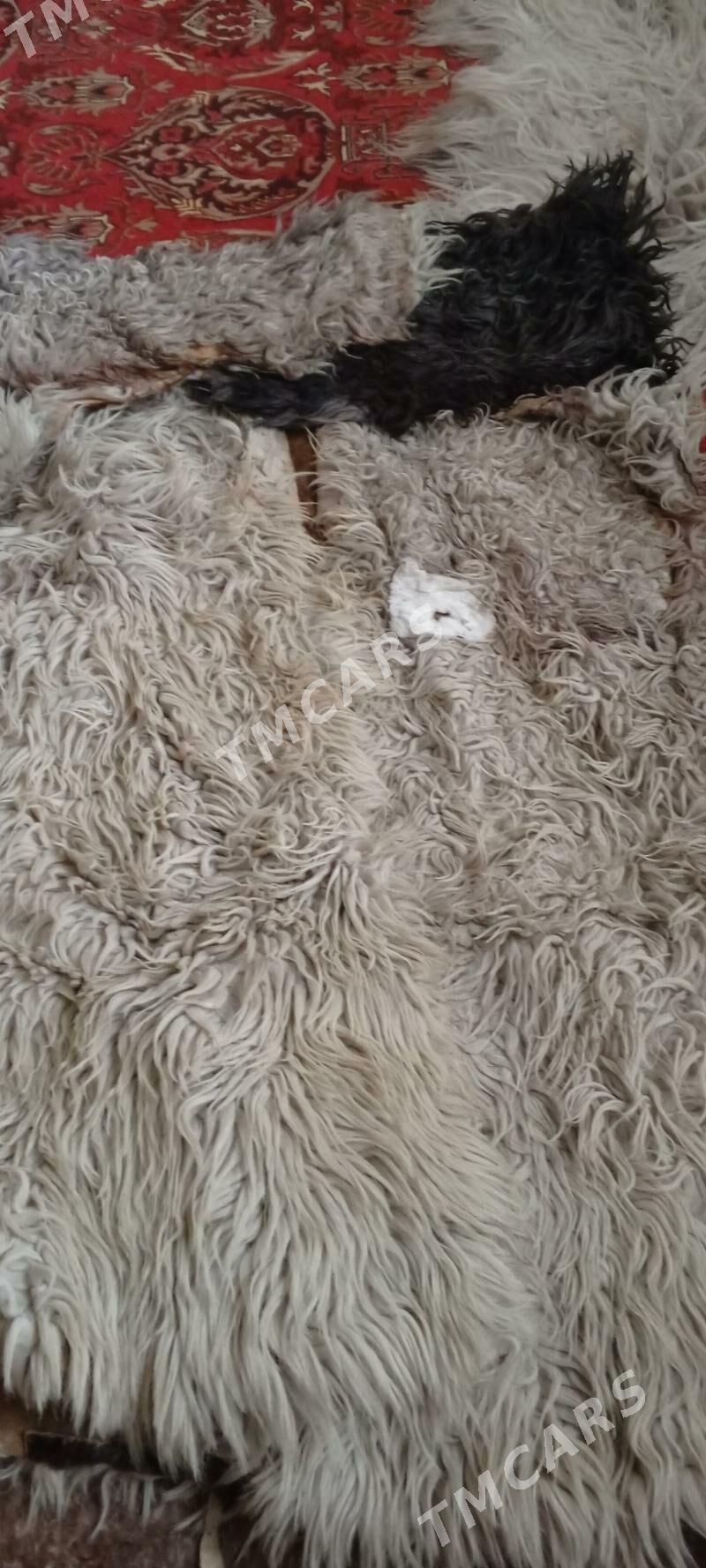 icmek deri - Gökdepe - img 3