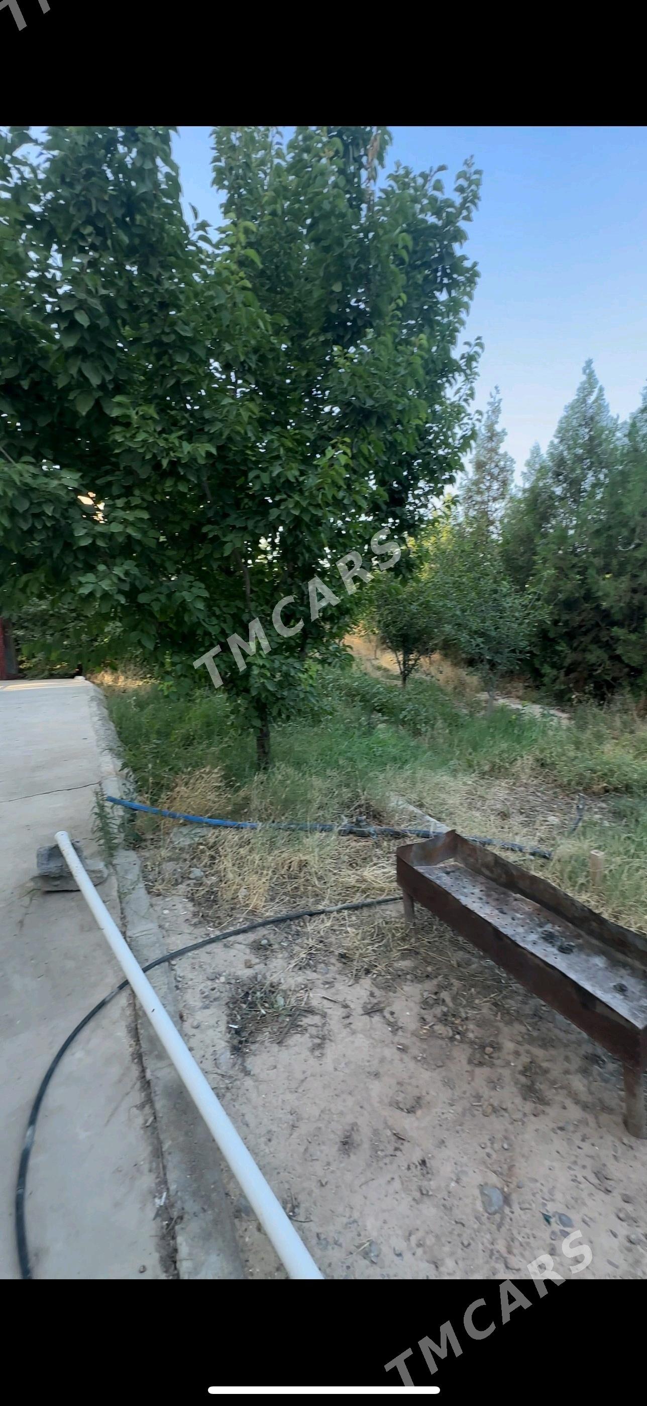 Büzmeýin Täze ahal 2 komnat - Бузмеин - img 7
