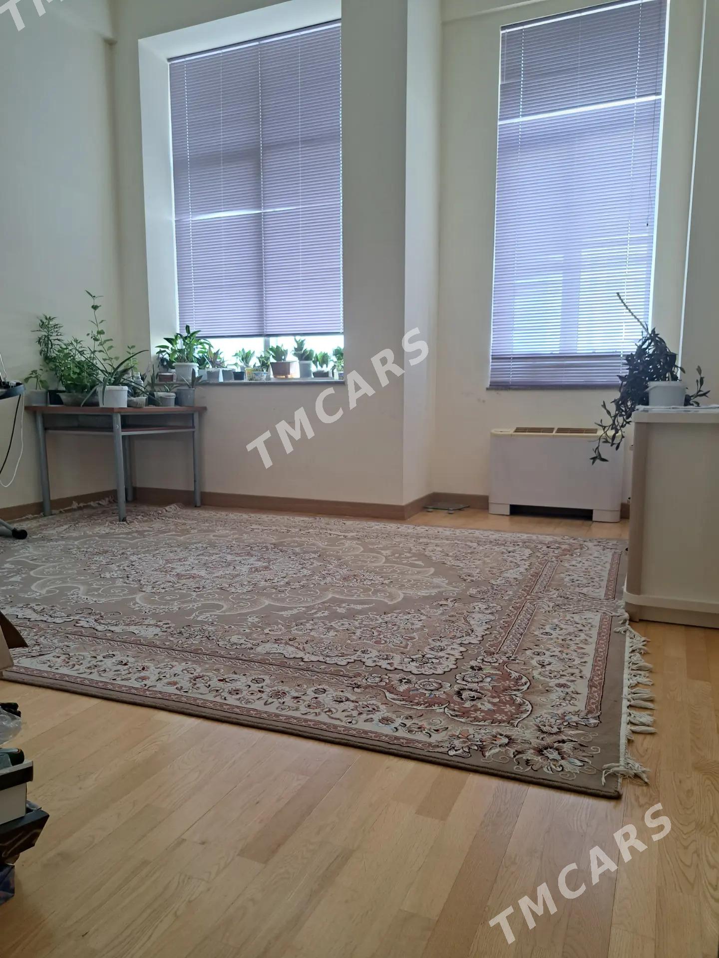 jay yerlesyan yeri cehow - Çehow köç. (A.Nyýazow şaýoly) - img 2