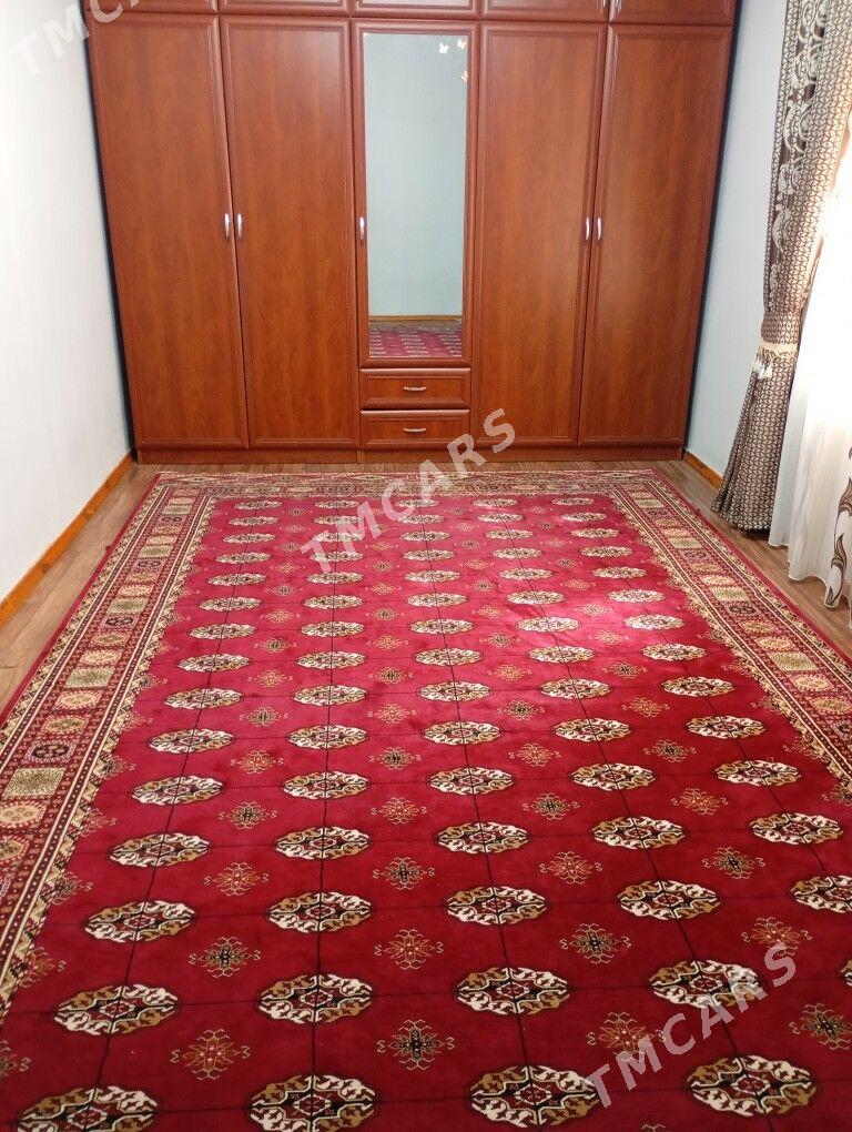 haly - Balkanabat - img 2