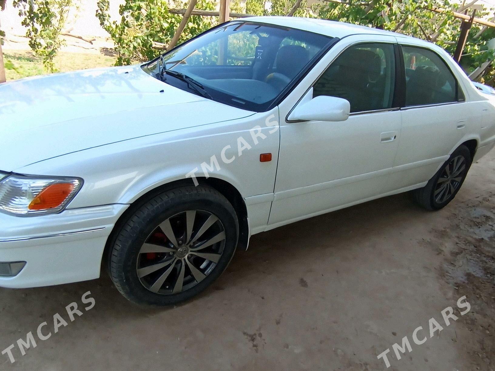 Toyota Camry 2000 - 115 000 TMT - Görogly (Tagta) - img 2