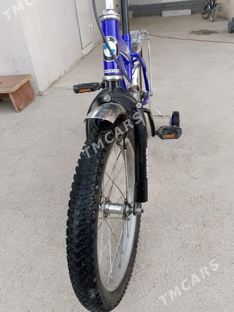tigir 16 lyk - Bagyr - img 2