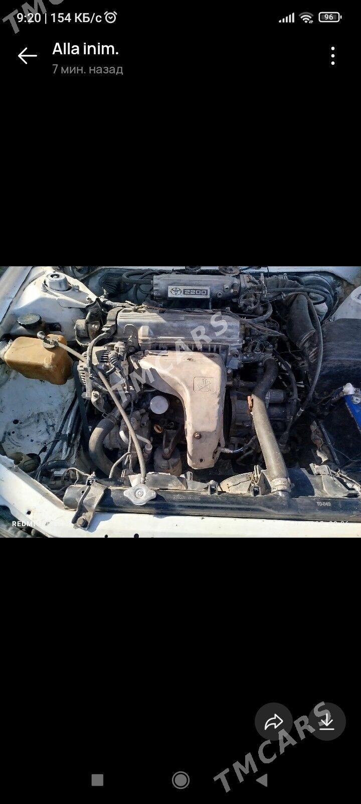 Toyota Camry 1994 - 73 000 TMT - Губадаг - img 3