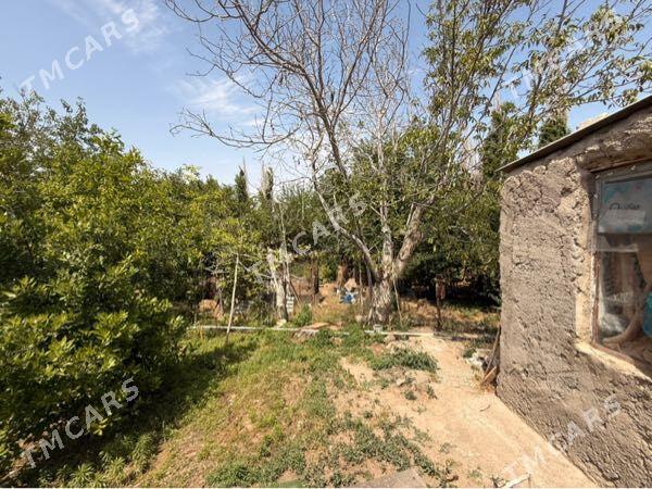 Дом с участком 900кв - Türkmenbaşy - img 5