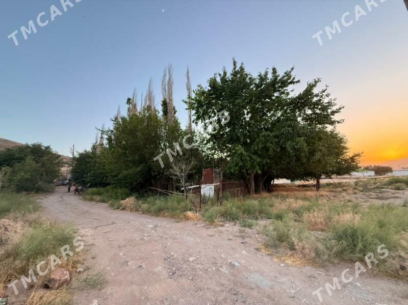 Дом с участком 900кв - Türkmenbaşy - img 10