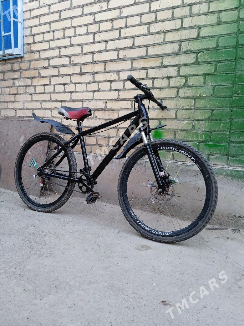 welosepet - Чарджоу - img 2