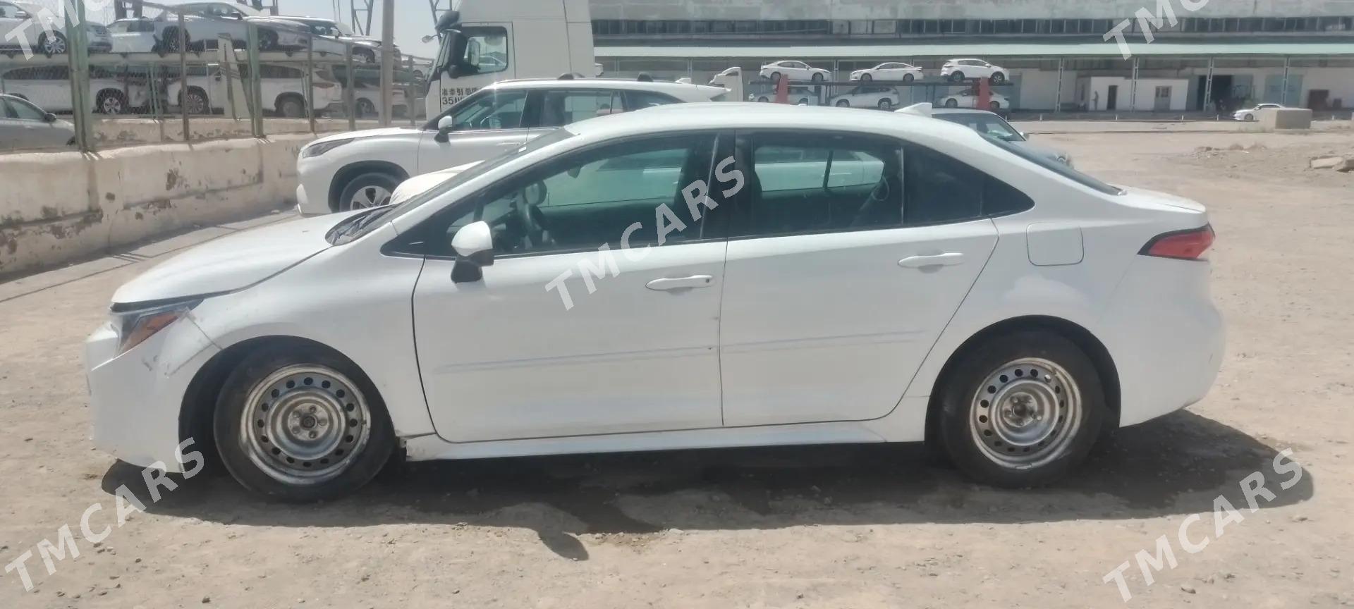 Toyota Corolla 2022 - 185 000 TMT - Murgap - img 2