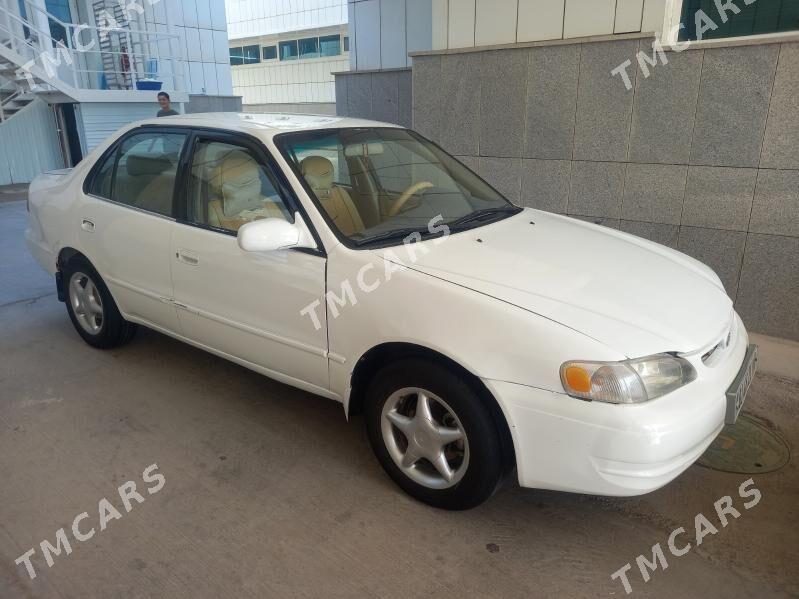 Toyota Corolla 1999 - 64 000 TMT - Mary - img 3