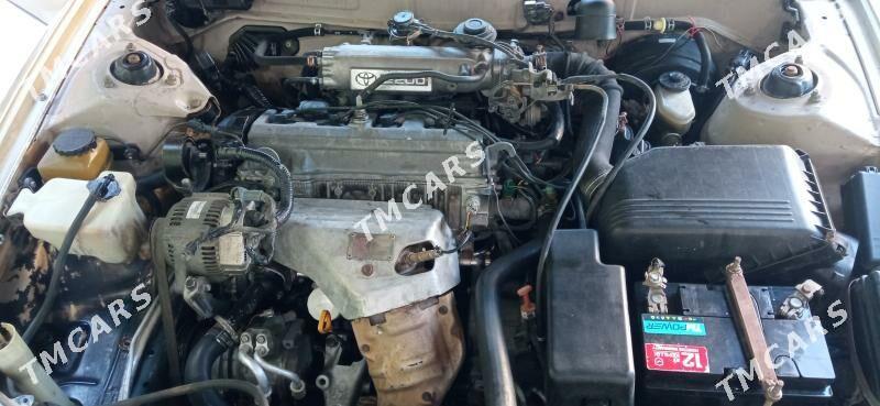 Toyota Camry 1995 - 76 000 TMT - Türkmenabat - img 9