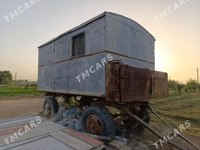 Wagon - Mary - img 2